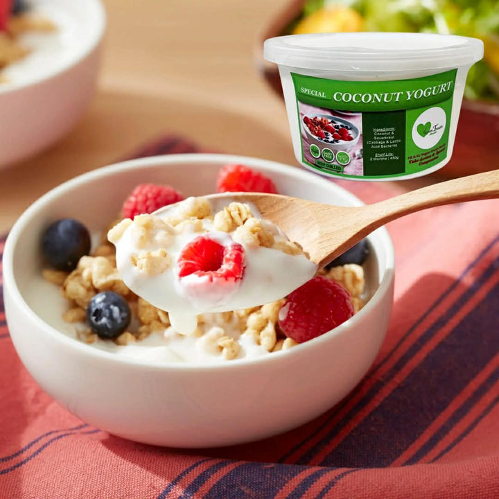 VTM Special Coconut Yogurt (450ml per Tub) Gluten-Free | Sugar-Free | Soy-Free