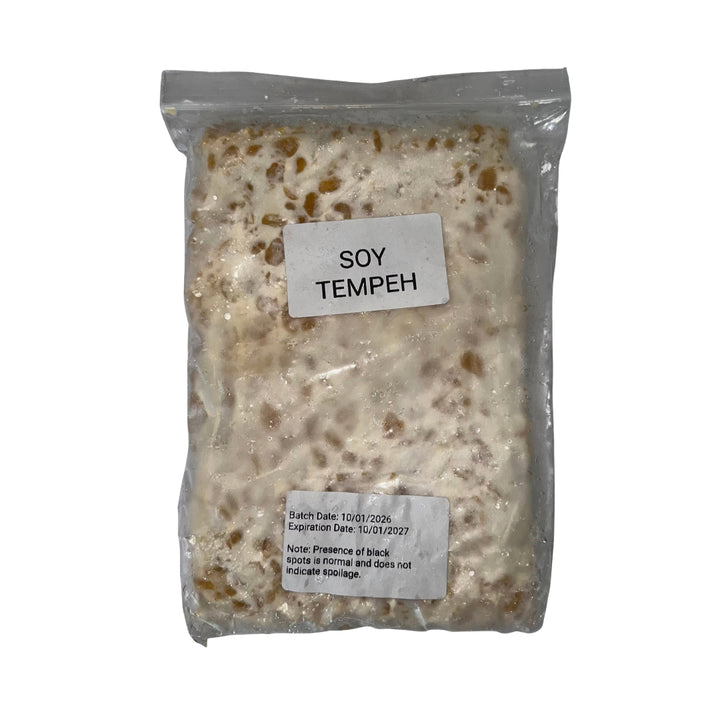 Soy Tempeh 350g (Unsalted - Frozen Pack)
