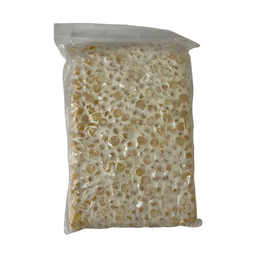 Soy Tempeh 350g (Unsalted - Frozen Pack)
